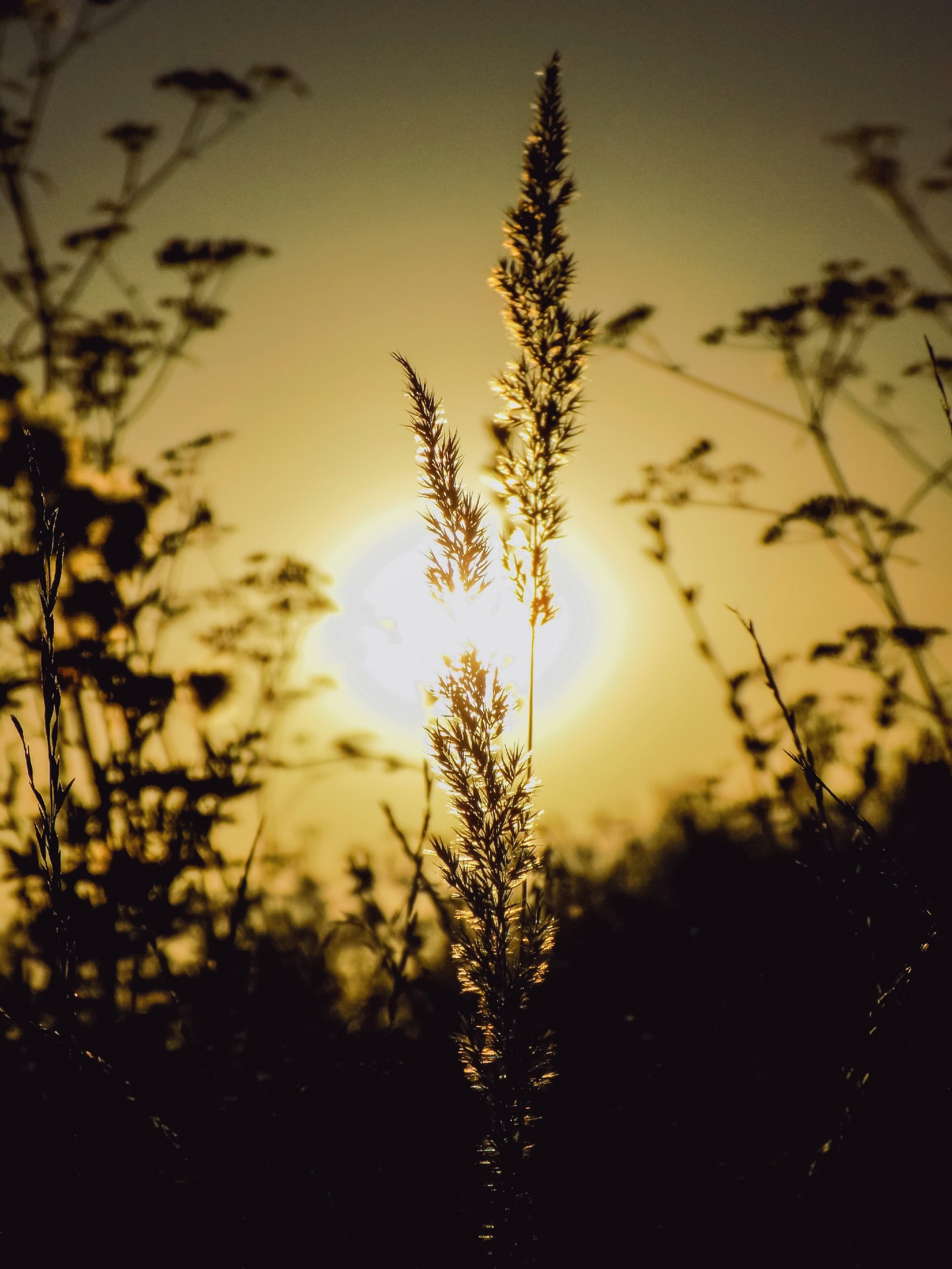 sunset-3618212